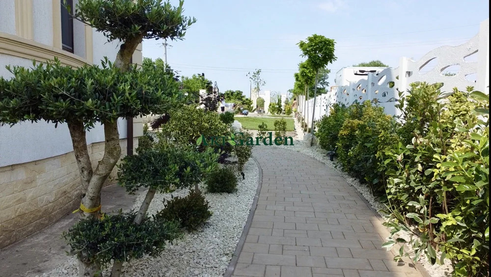 Proiect amenajare Romanesti Jardiniere si cascada